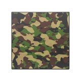 ST Dupont Accessories Humidore Grün