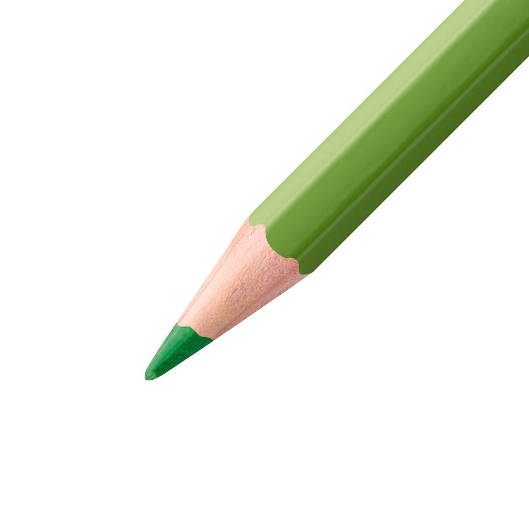 STABILO aquacolor 36 Etui ARTY – Ansicht 3