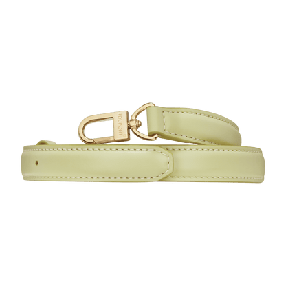 ST Dupont Leather goods Apex Light-green