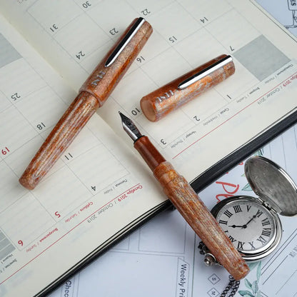 BENU Fountain Pen DailyMate Silver, Relaxing Sunday