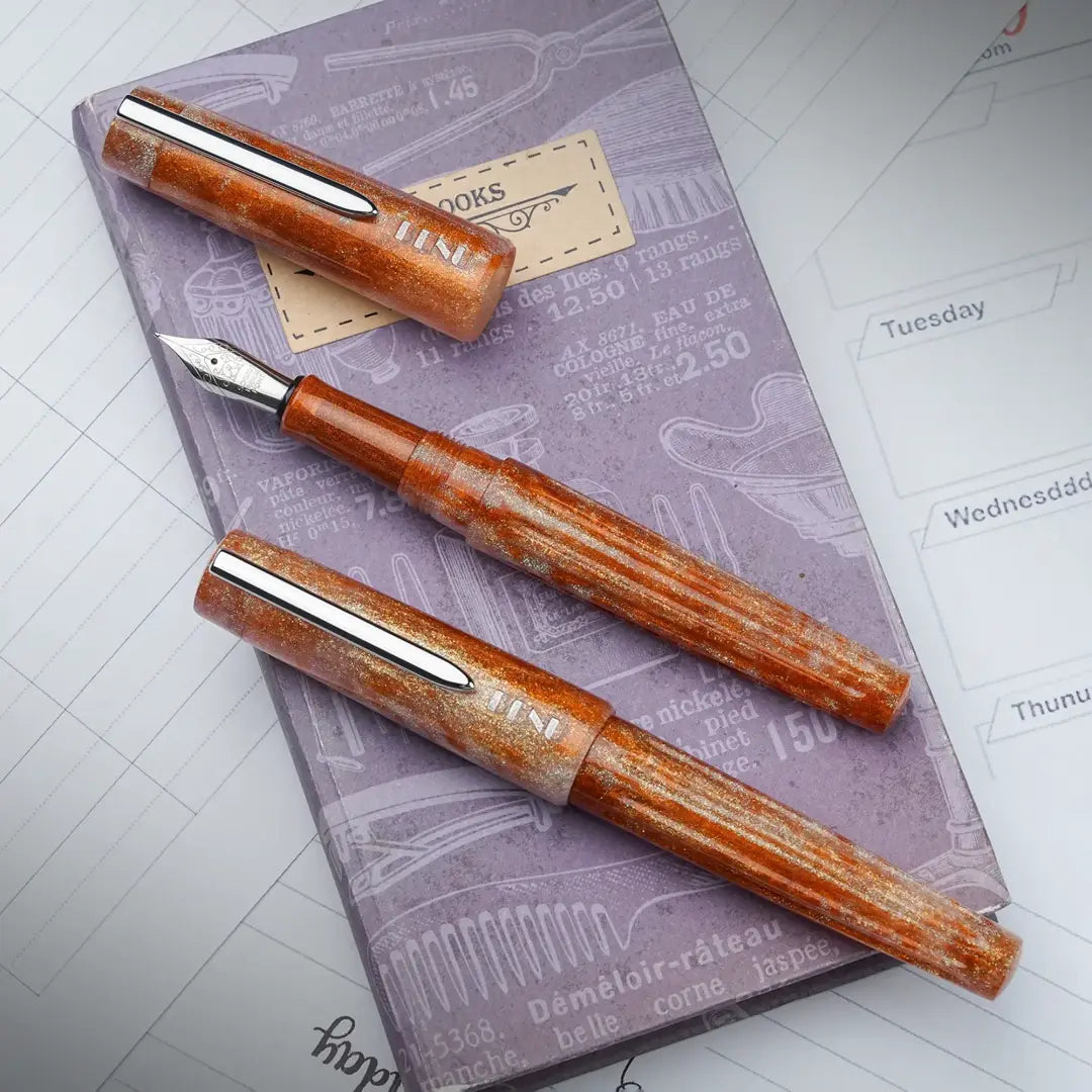 BENU Fountain Pen DailyMate Silver, Relaxing Sunday