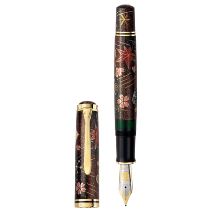 Stylo plume Pelikan Souverän M1000 Raden Stardust - Édition limitée
