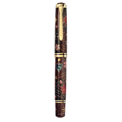Stylo plume Pelikan Souverän M1000 Raden Stardust - Édition limitée