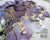 Octopus Fluids Alkoholtinten-Set