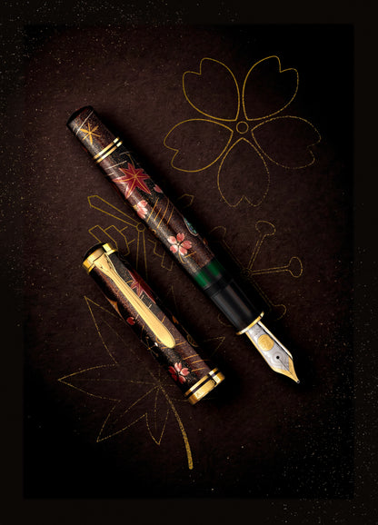 Stylo plume Pelikan Souverän M1000 Raden Stardust - Édition limitée