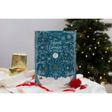 Diamine Adventskalender 2025 | 25 exklusive Tinten (schnell ausverkauft)