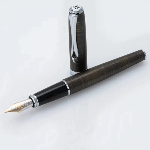 Stylo Plume Füllfederhalter Excellence A2 Oxyd chromé 14Kt, Eisen