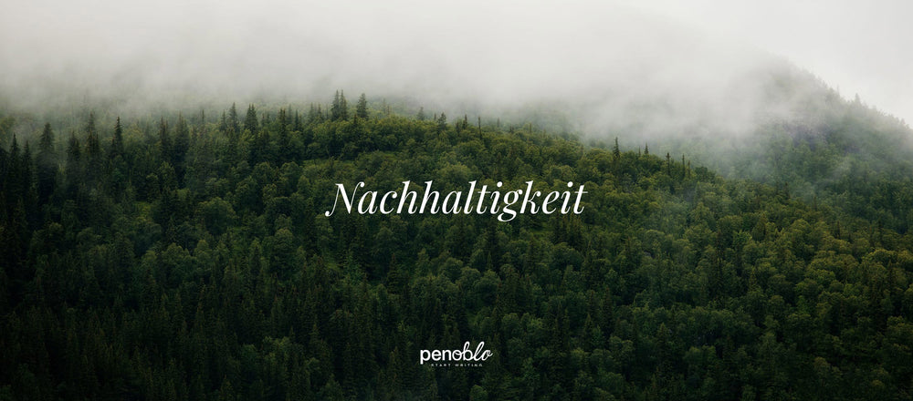 nachhaltigkeit-sustainability-penoblo-2024-desktop.jpg