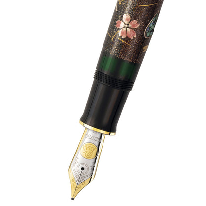 Stylo plume Pelikan Souverän M1000 Raden Stardust - Édition limitée