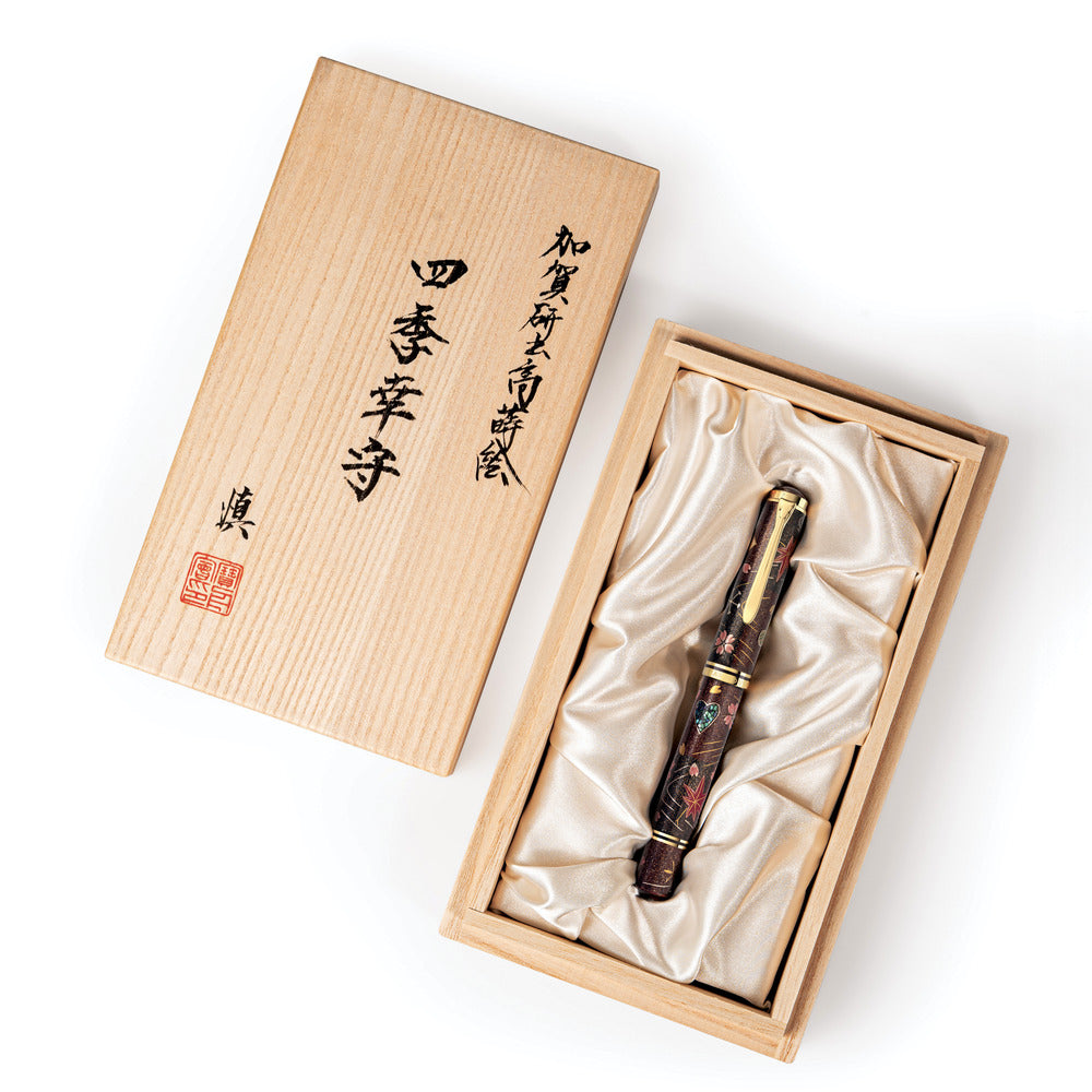 Stylo plume Pelikan Souverän M1000 Raden Stardust - Édition limitée