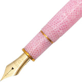 Platinum, Füller, #3776 Century Celluloid, 14Kt, Sakura