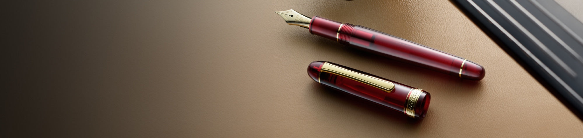 Platinum fountain pen