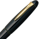 Platinum, Füller, Izumo Tame-nuri, 18Kt, Sora-tame