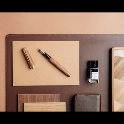 Pilot Fountain Pen Justus 14K, black