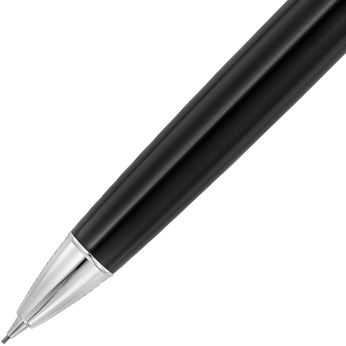 Crayon Waldmann Leopard noir
