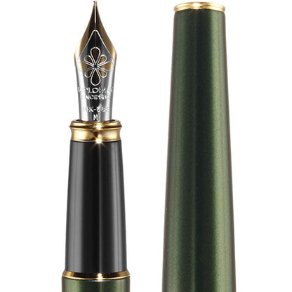 Diplomat, Füller, Excellence A2, Evergreen vergoldet 14 kt-2