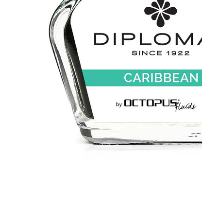 Diplomat Tintenglas Octupus Ink 30ml Karibik Türkis-2