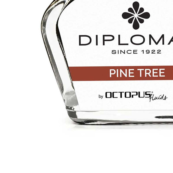 Diplomat Tintenglas Octupus Ink 30ml Pinie Braun-2